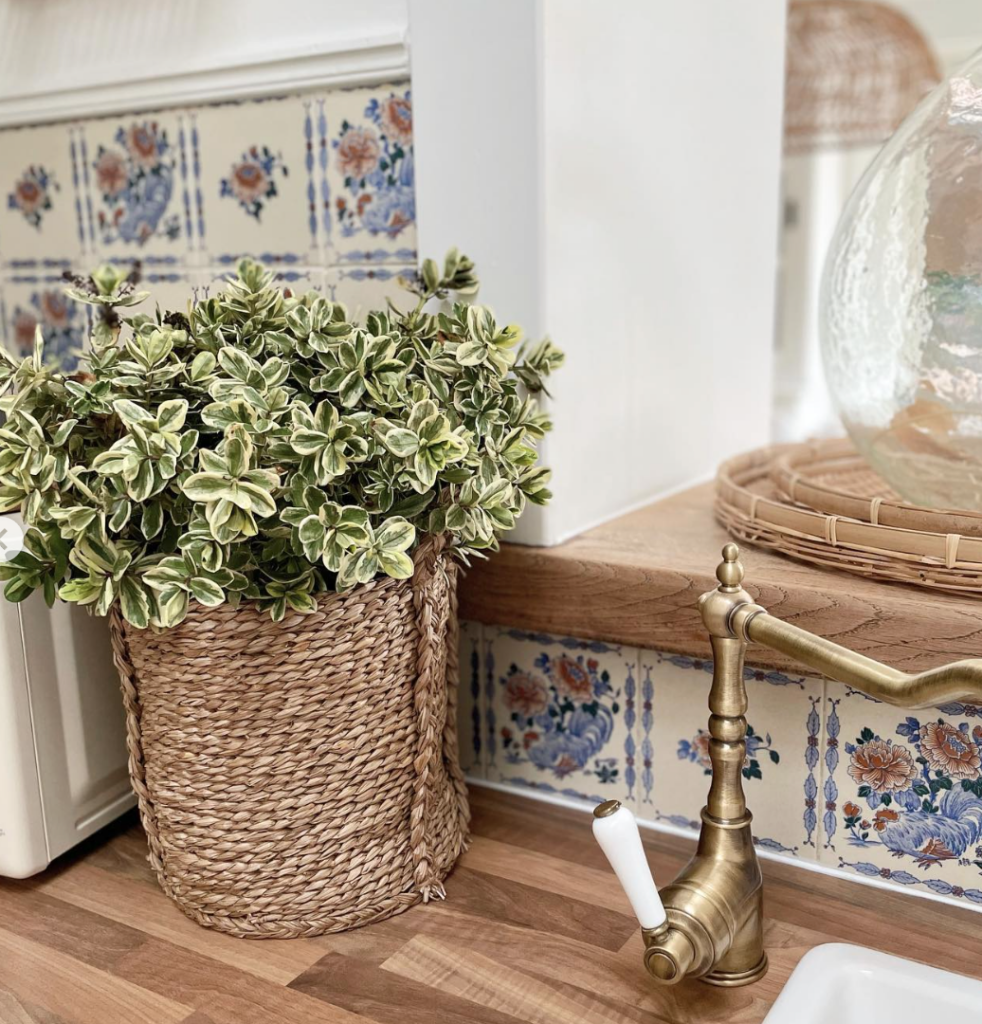 cuisine ouverte bois plante verte