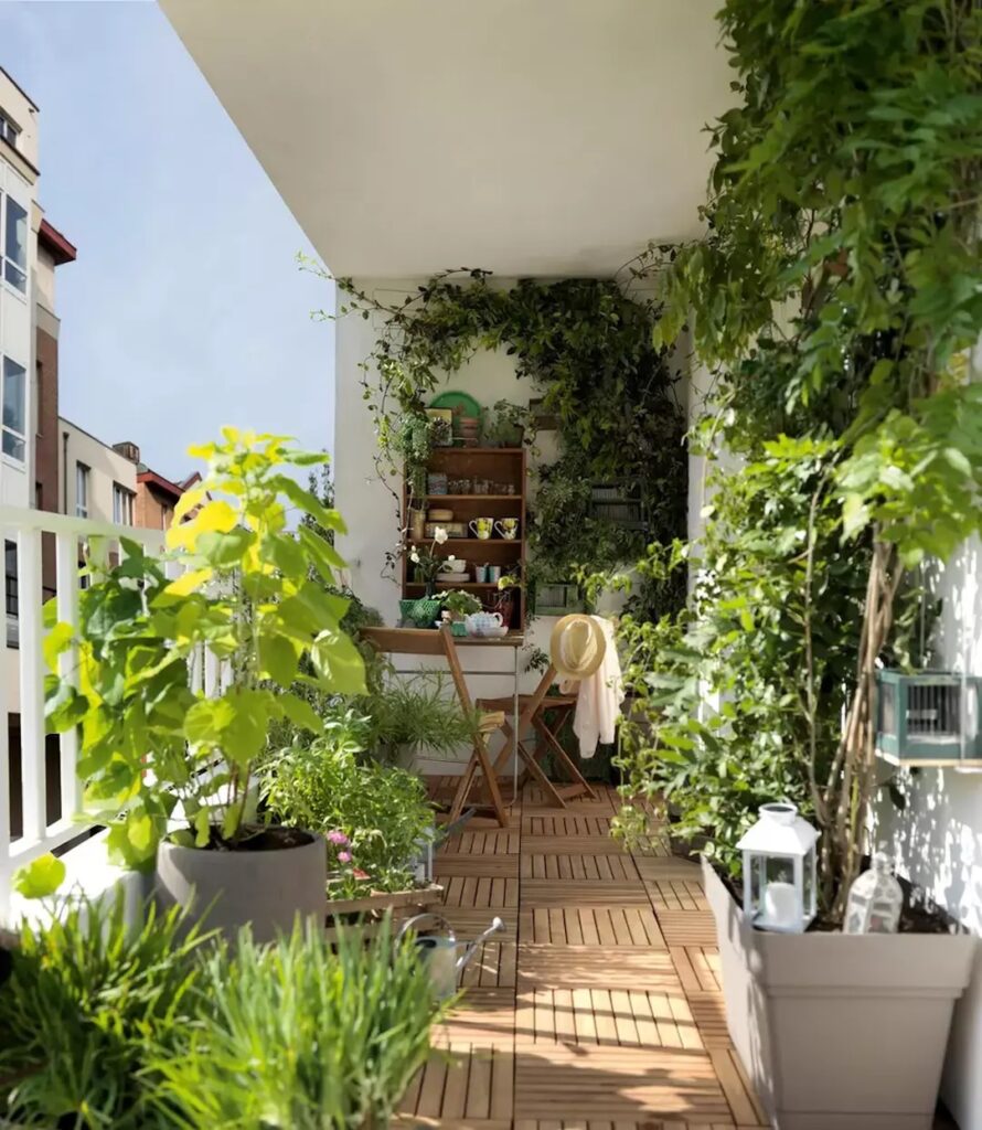 plante verte jardin terrasse sol parquet bois lame