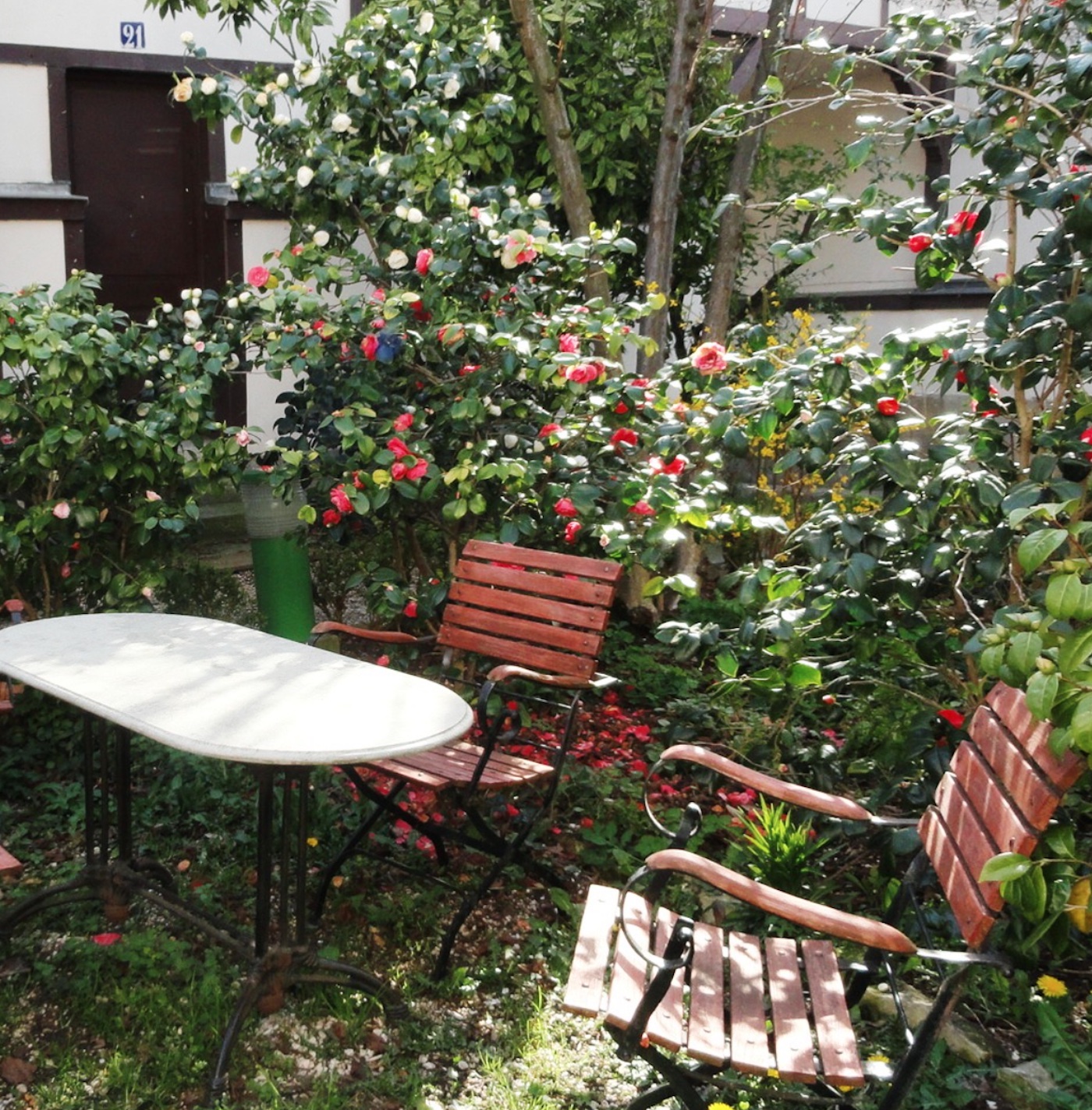 jardin anglais exterieur table oval chaise bois