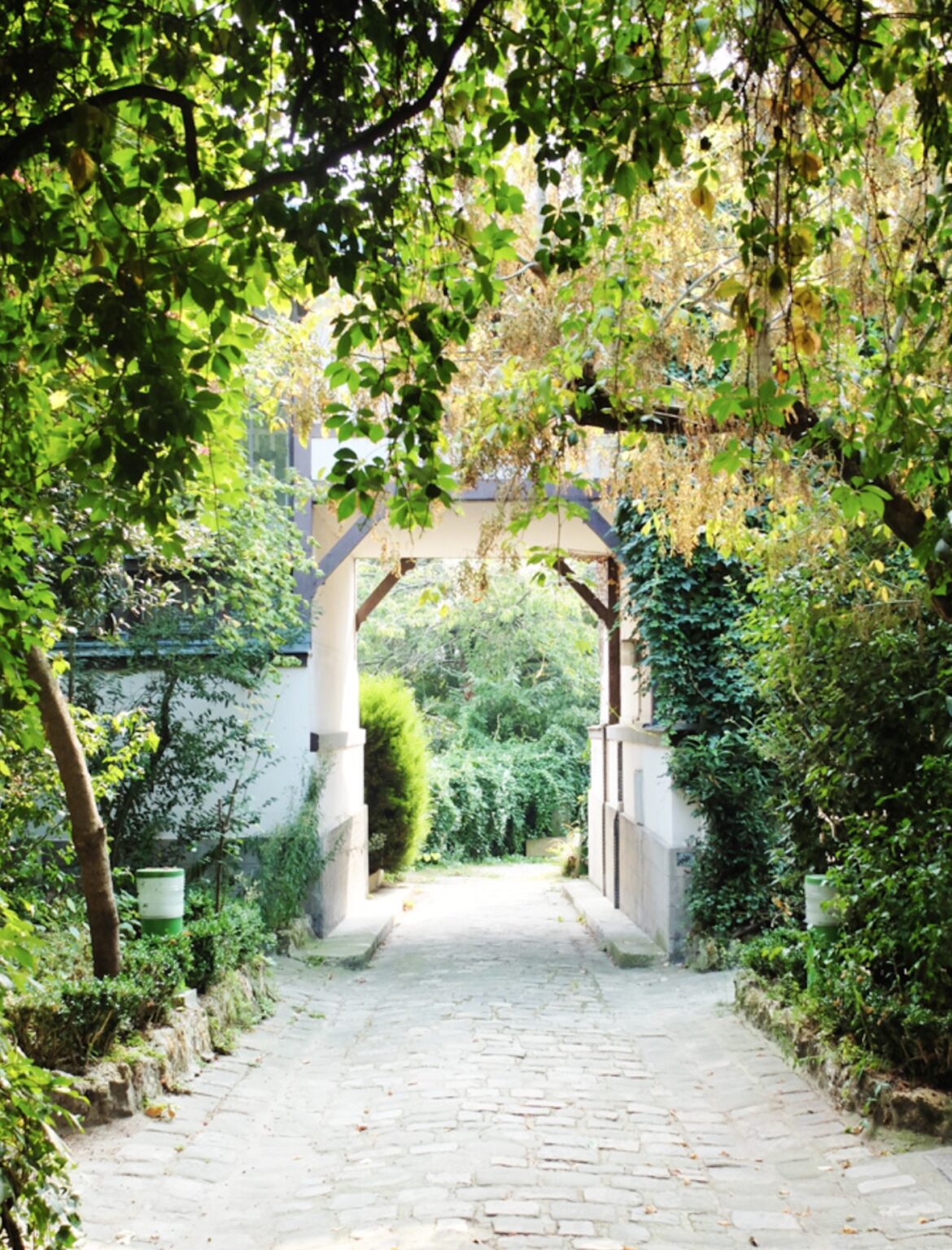 jardin cite fleurie plante verte pierre grise