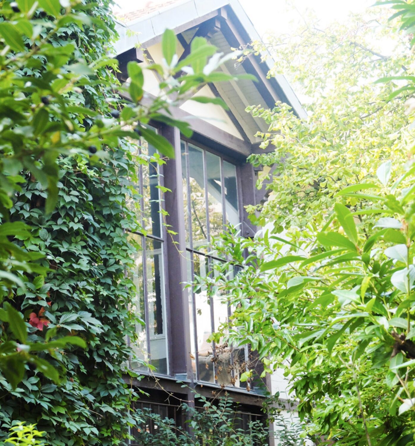 maison atelier artiste chalet bois marron blanc jardin fleuri