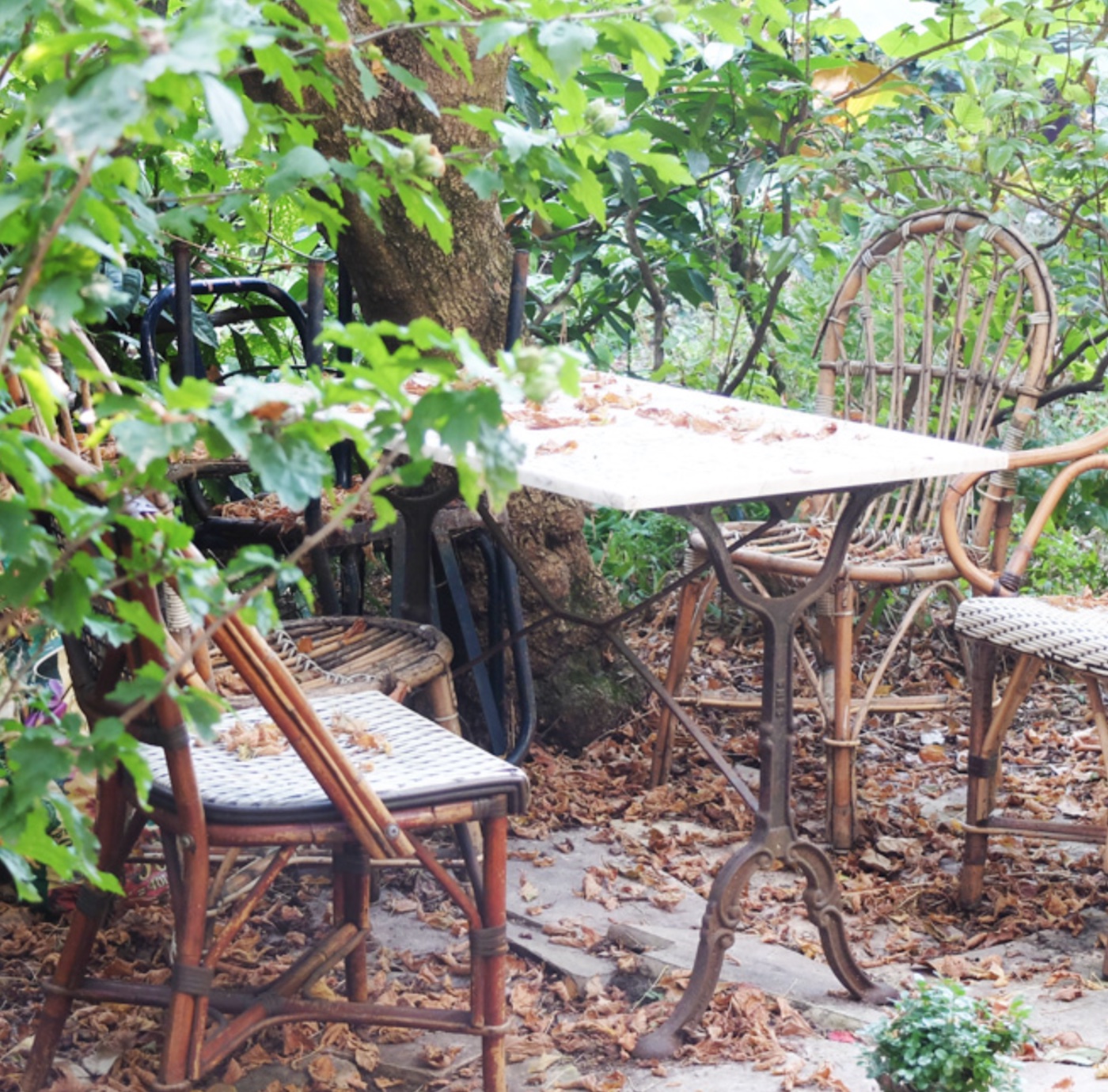 table exterieur bois osier chaise cannage jardin exterieur champetre