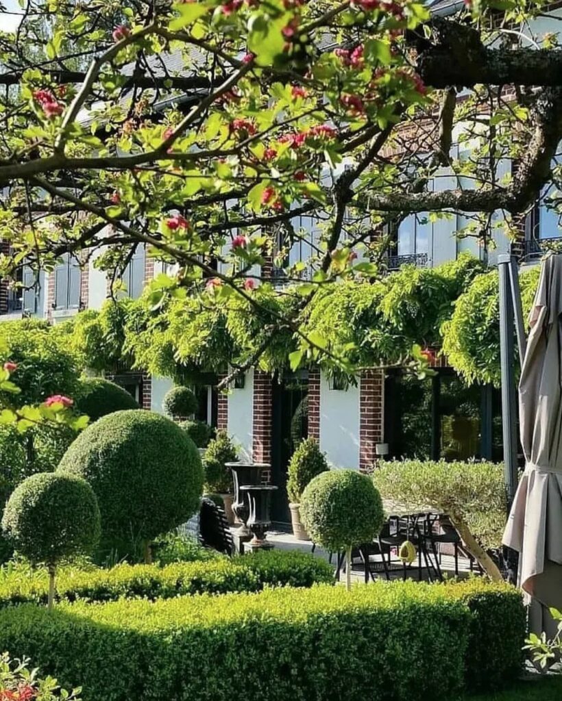 exterieur lumineux terrasse jardin
