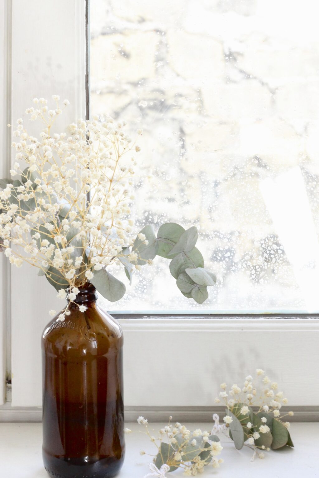 Comment faire fleur stabilisée DIY conserver