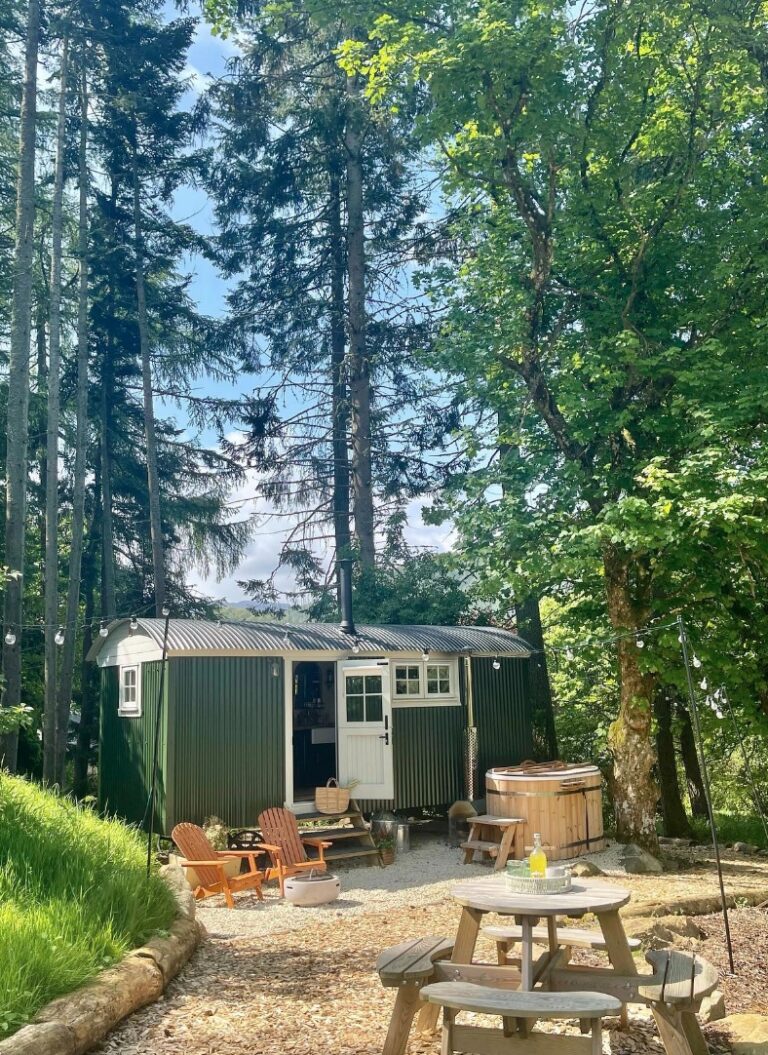 jardin espace exterieure roulotte vert sapin