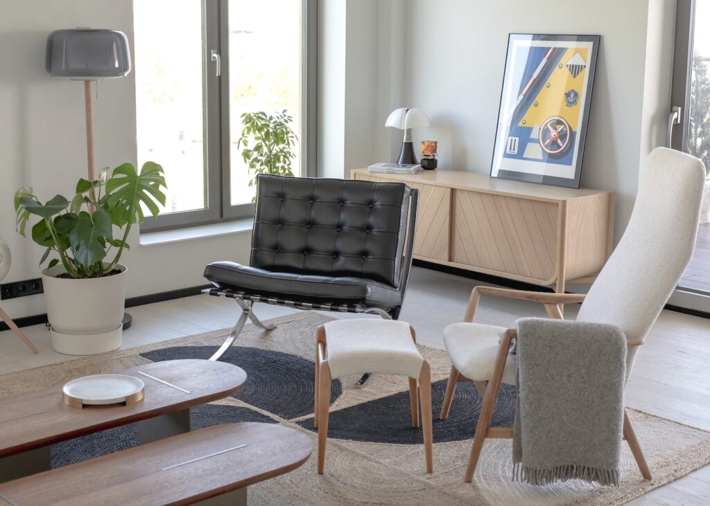 décorer salon style nordique design