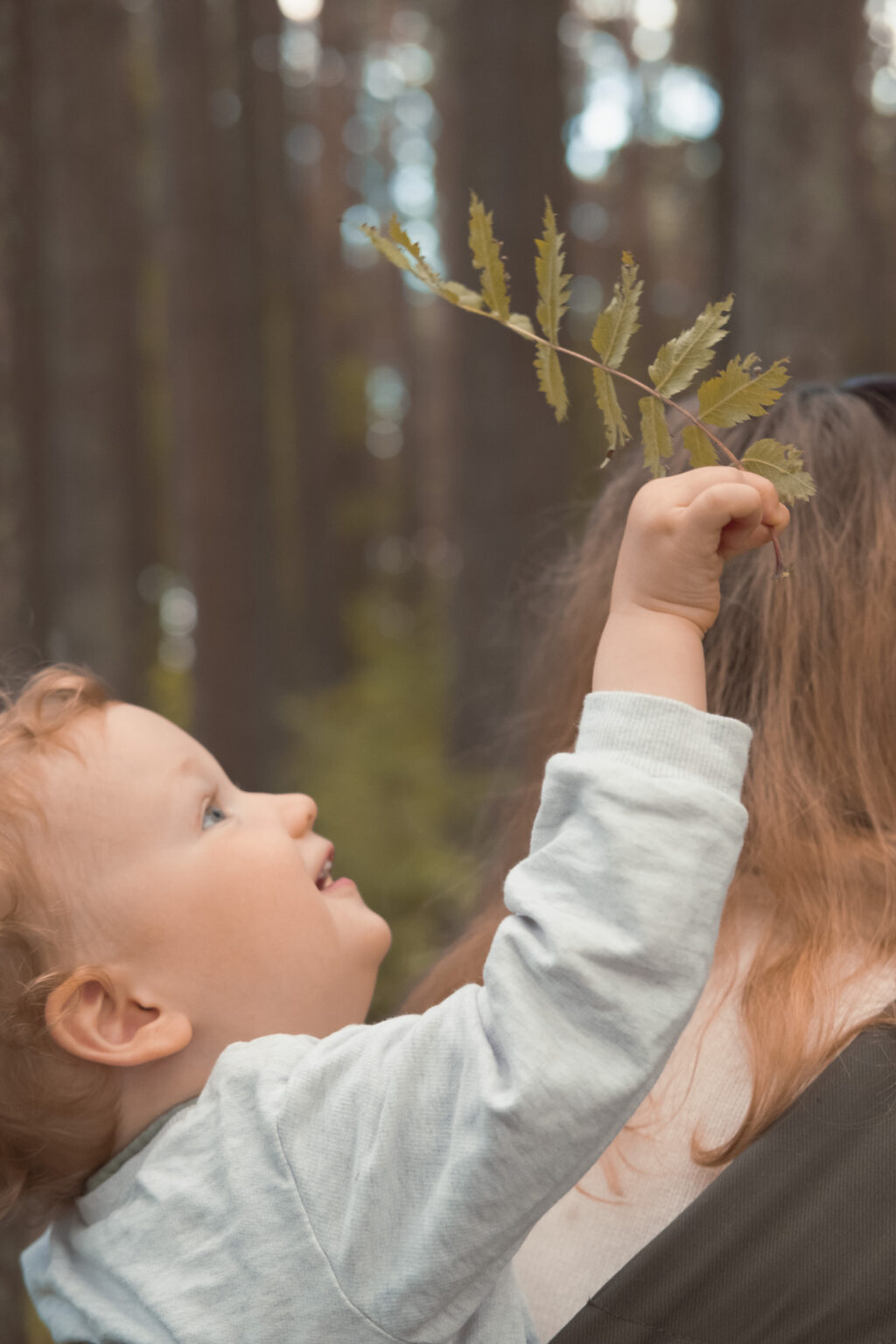 activité éveil jeune enfant 2 ans balade forêt