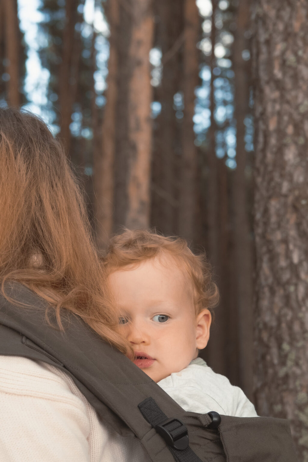 avis test Stokke Limas carrier plus enfant 2 ans