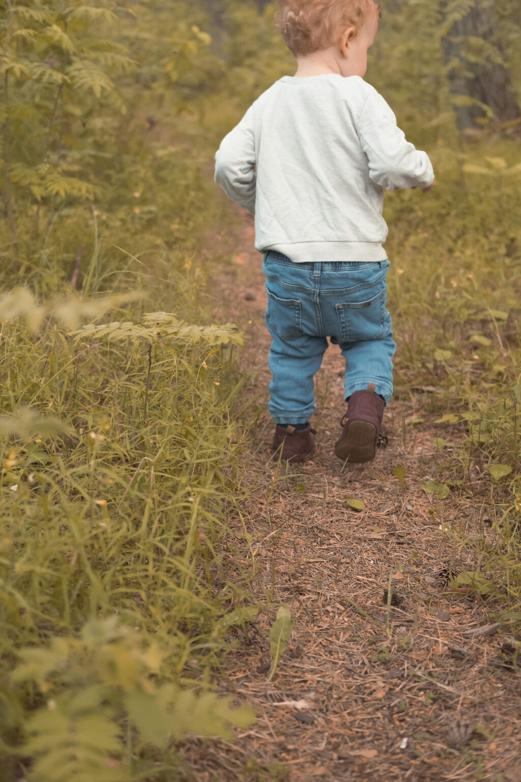 balade forêt estonienne nature Tallinn