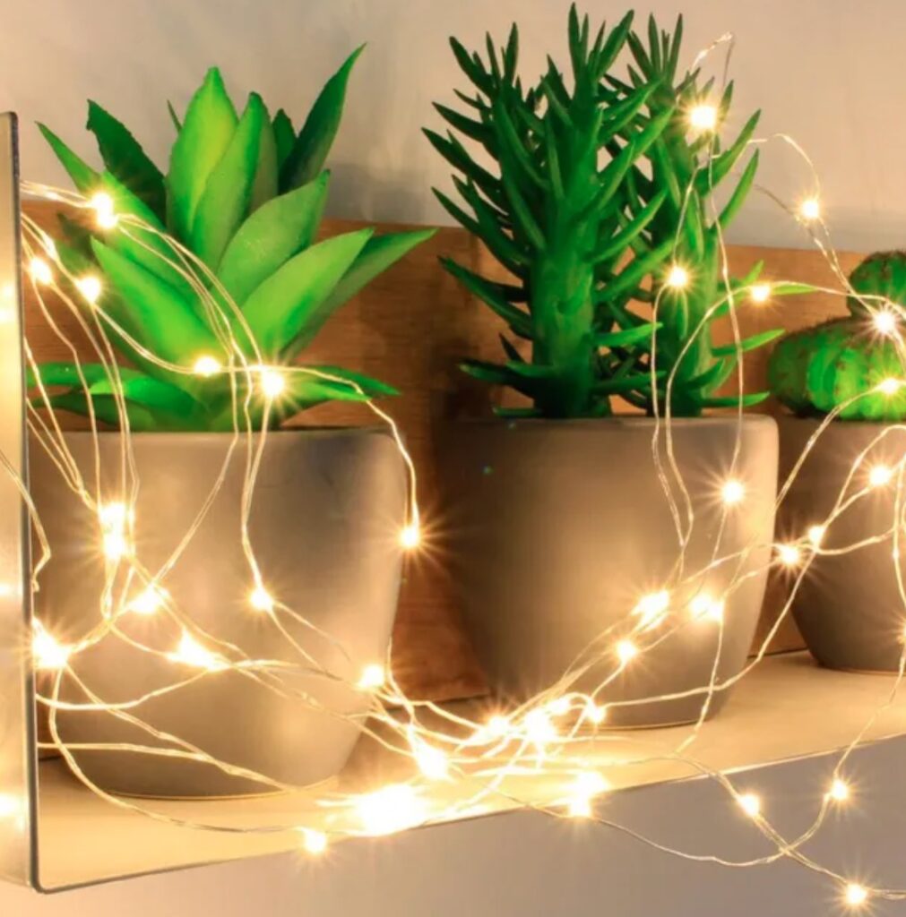guirlande lumineuse plante verte pot gris beton