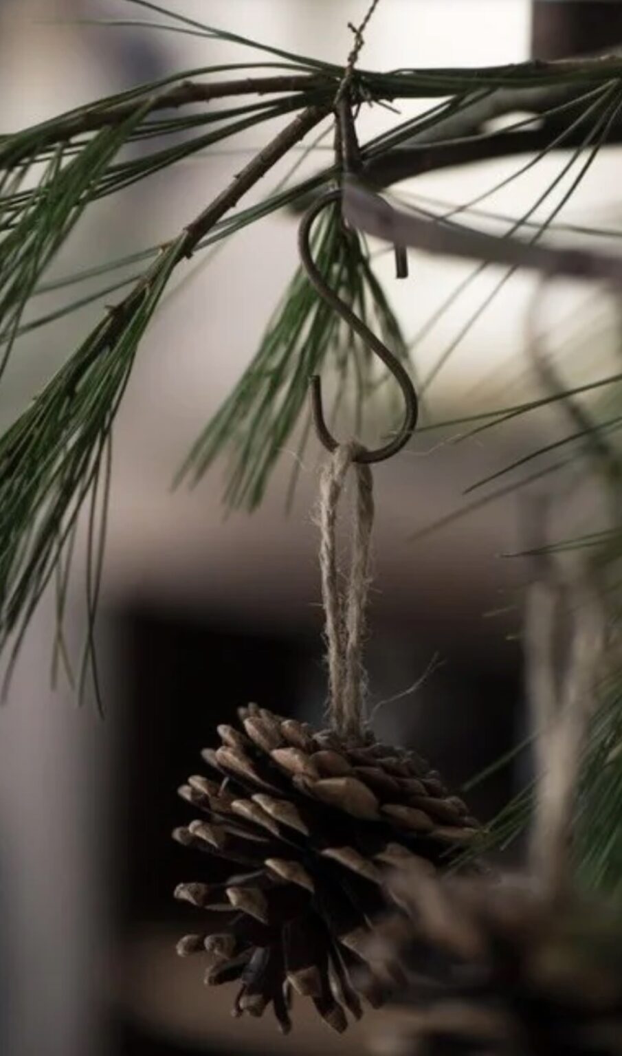 pomme de pin deco rustique marron sapin noel