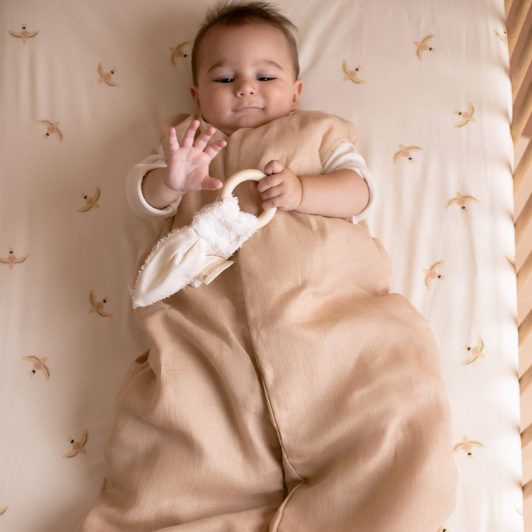 chambre bébé thème beige rosé hirondelle