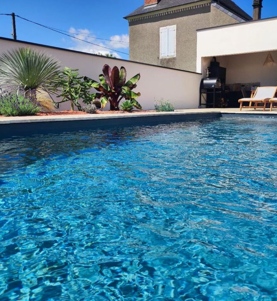 piscine jardiniere plante verte plante grasse