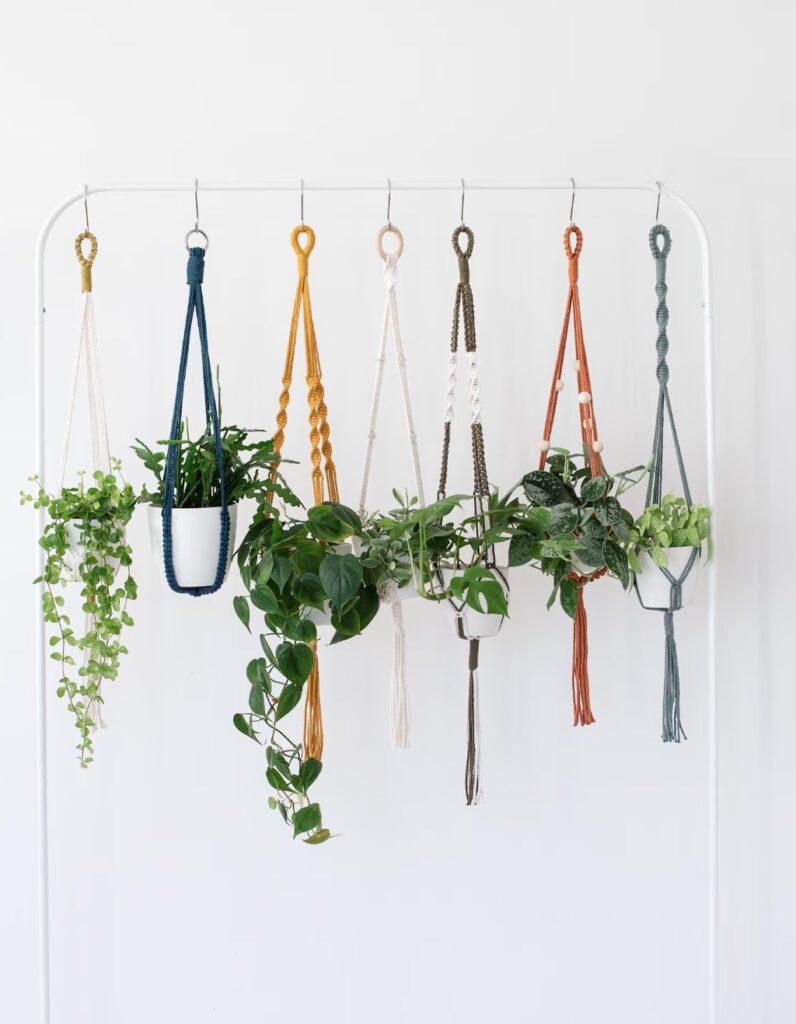 pot suspendu plante verte deco nature epuree