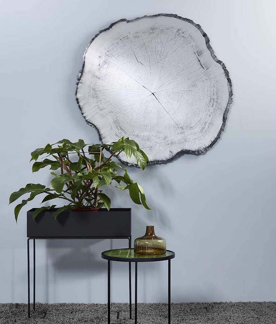 miroir tronc arbre asymétrique design