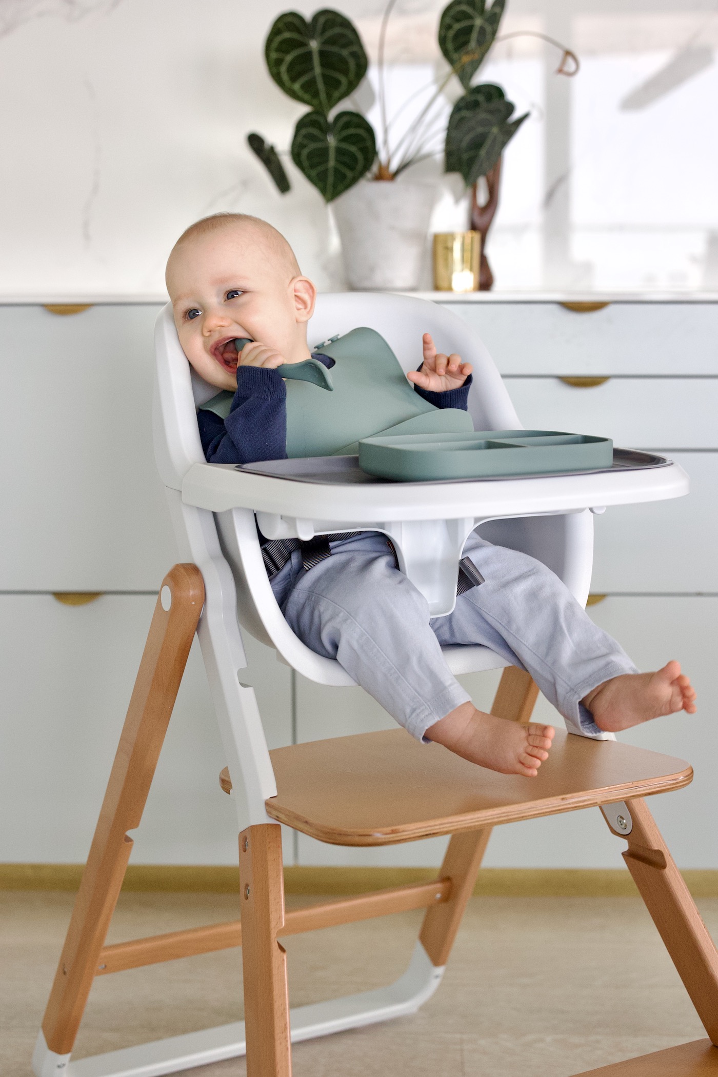 avis test chaise haute évolutive Evolve Ergobaby