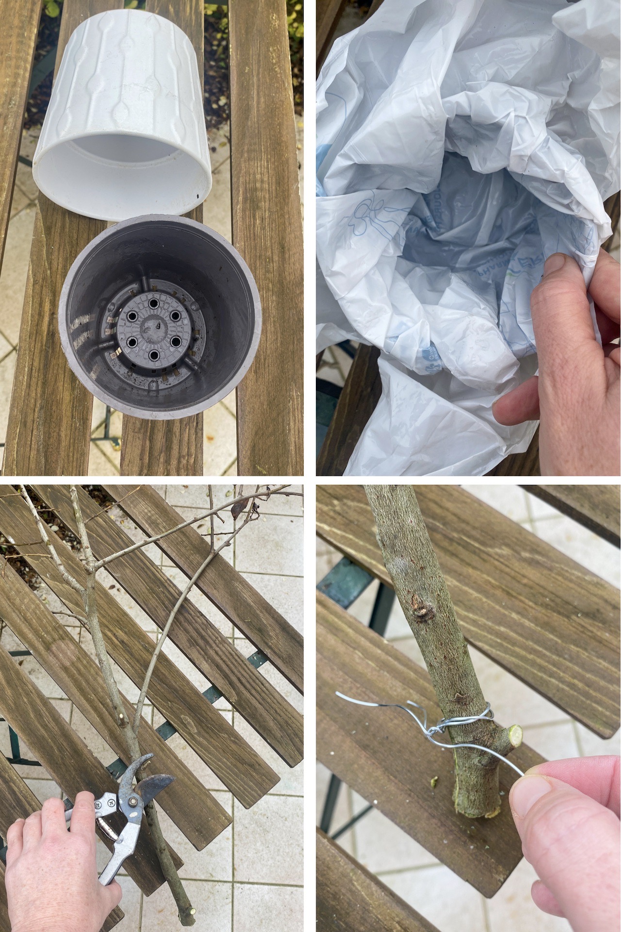 diy arbre à pompons blancs décoration arbuste artificiel