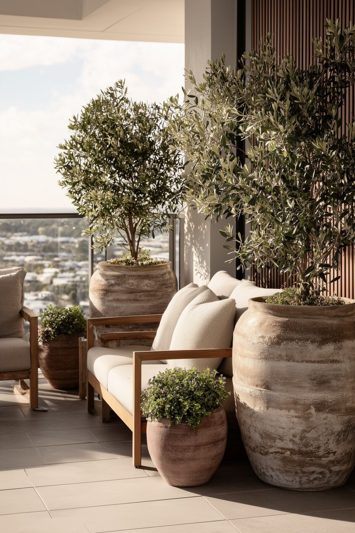 balcon moderne végétalisé oliviers pots terre cuite